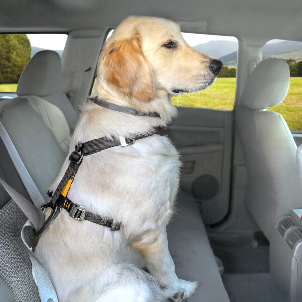 Kurgo Enhanced Strength Dog Car Harness