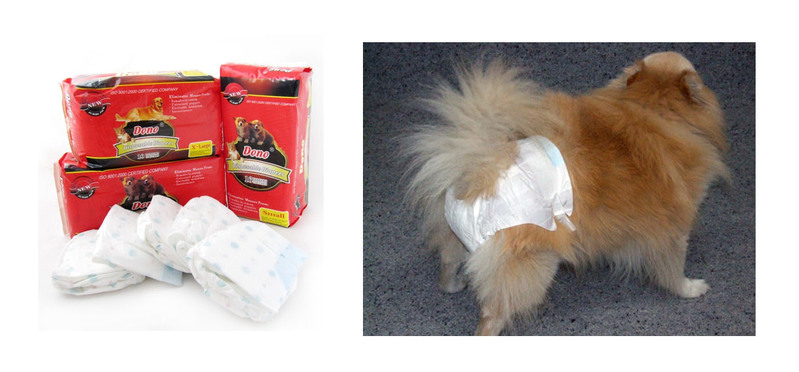 puppy diapers