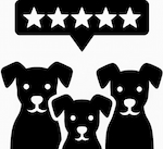 1000+ five-star ratings on Google